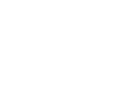 skylogo